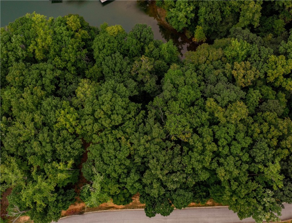 Property image 3 of 230 Long Bay Drive in The Woods At Keowee, West Union, SC 29696