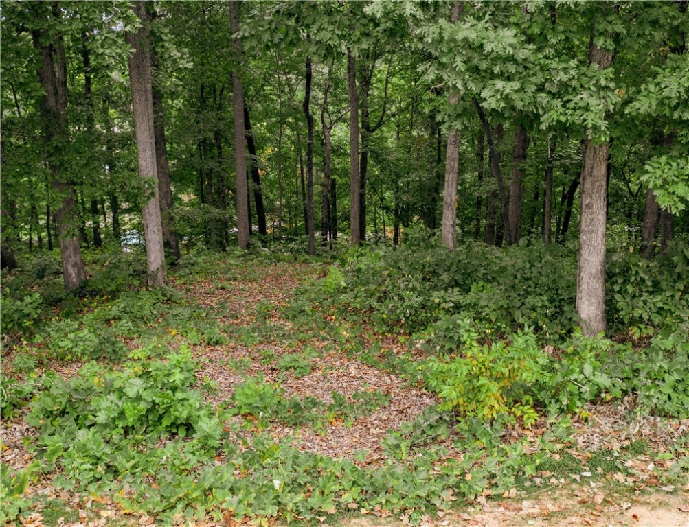 Property image 4 of 230 Long Bay Drive in The Woods At Keowee, West Union, SC 29696
