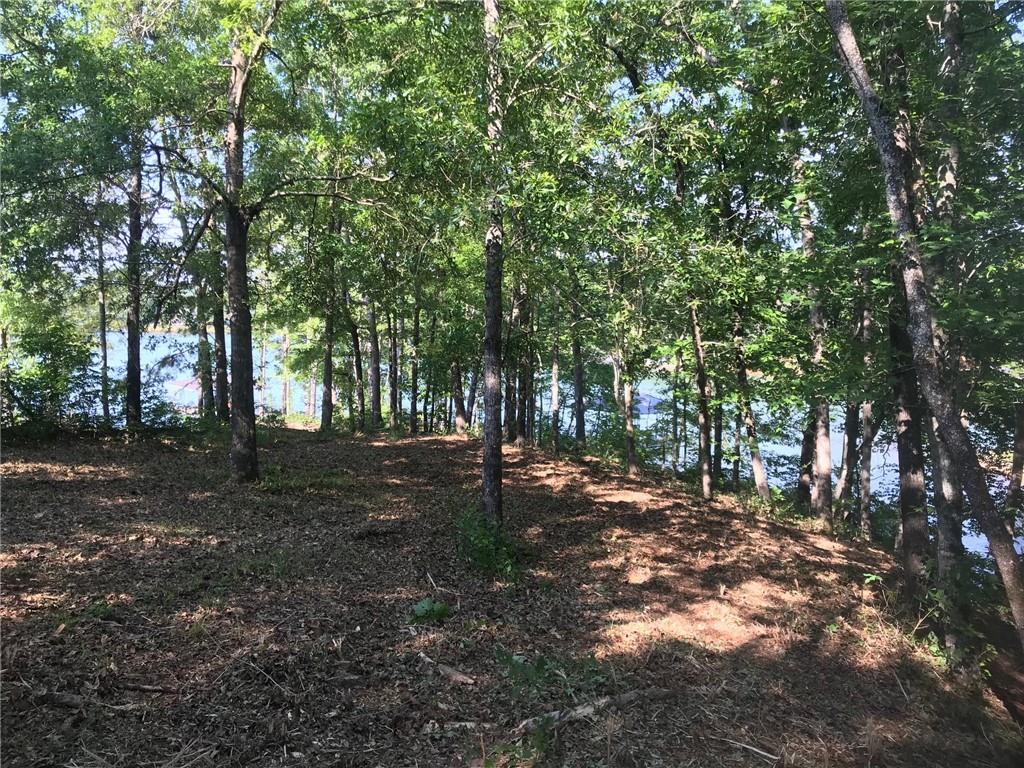 Property image 3 of Lot 71 & 72 McAlister Road in Peninsula Pointe Road in Peninsula Pointe South, West Union, SC 29696