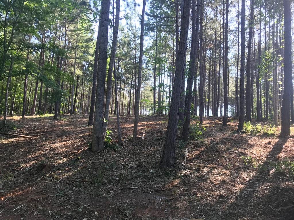Property image 4 of Lot 71 & 72 McAlister Road in Peninsula Pointe Road in Peninsula Pointe South, West Union, SC 29696