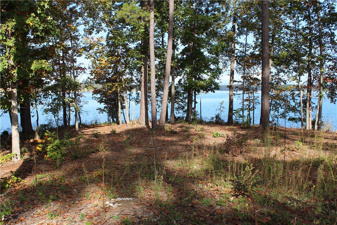 Property image 3 of Lot 16 Twingate Lane in Marina Bay, Seneca, SC 29678