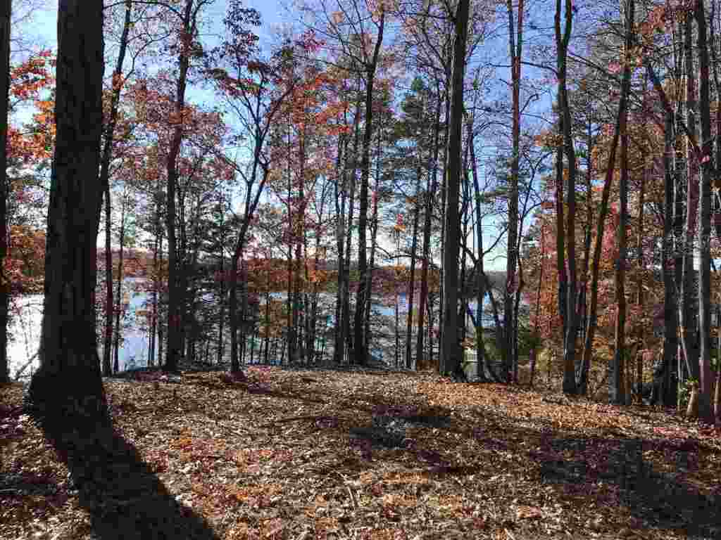 Property image 3 of 310 Bay Hill Drive in The Woods At Keowee, West Union, SC 29696