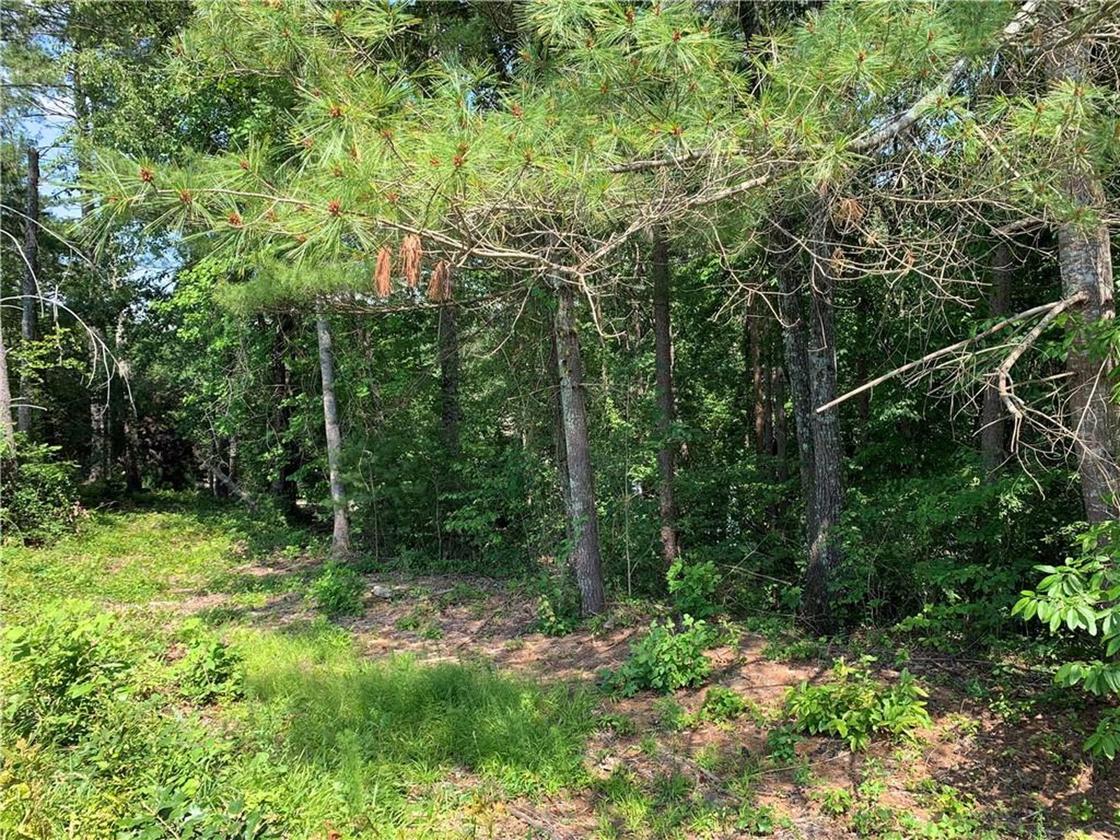Property image 1 at 2505 Fleming Drive, Anderson, SC 29621