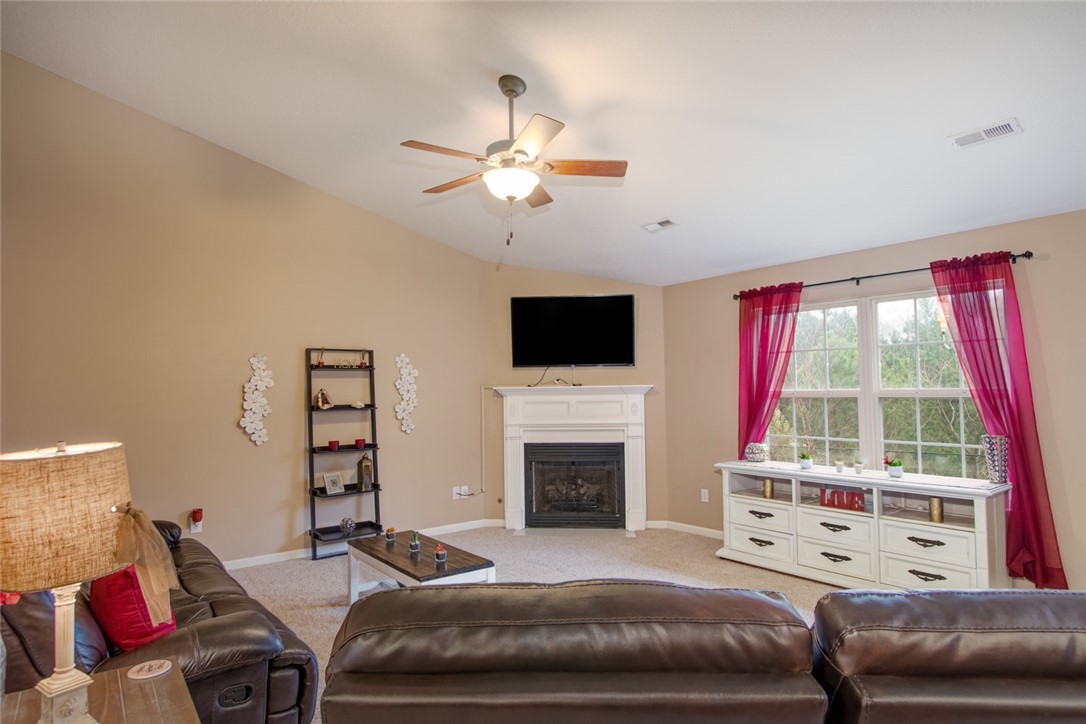 Property image 2 of 138 PALM BRANCH Way in Palmetto Valley, Anderson, SC 29621
