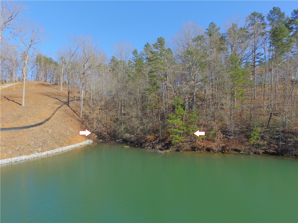 Property image 2 of Lots 106 & 109 Trail Tree Drive in Peninsula Pointe South, West Union, SC 29696