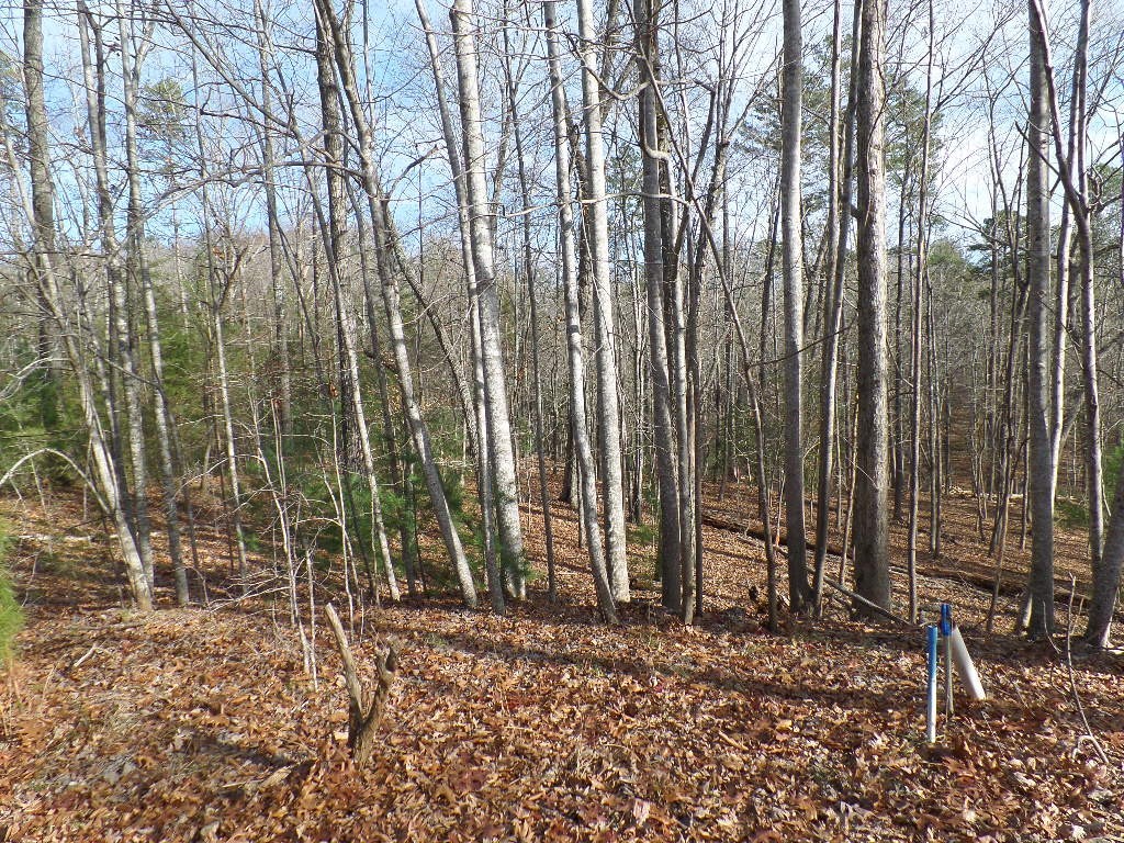 Property image 3 of 118 Holly Hill in Cedar Creek, Sunset, SC 29685