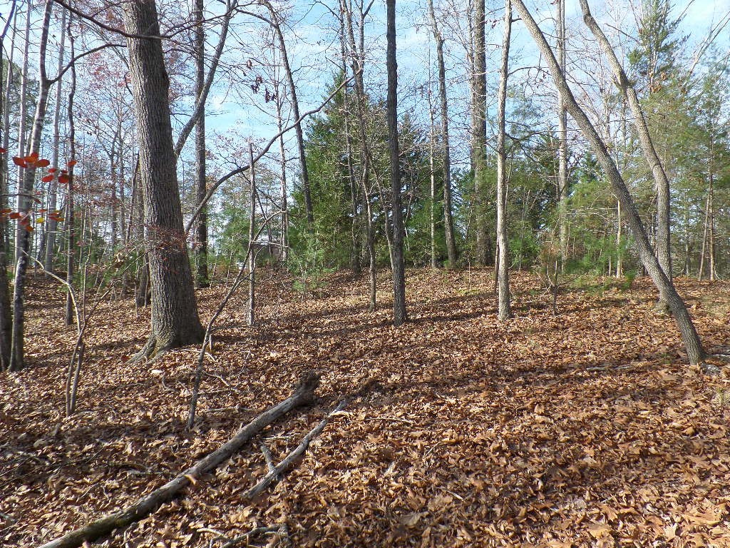 Property image 5 of 118 Holly Hill in Cedar Creek, Sunset, SC 29685