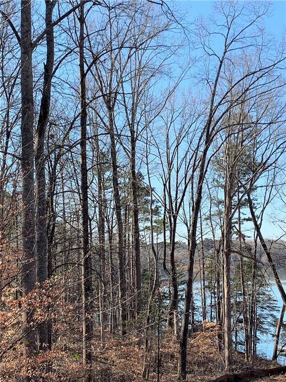Property image 5 of 307 Bay Hill Drive in The Woods At Keowee, West Union, SC 29696