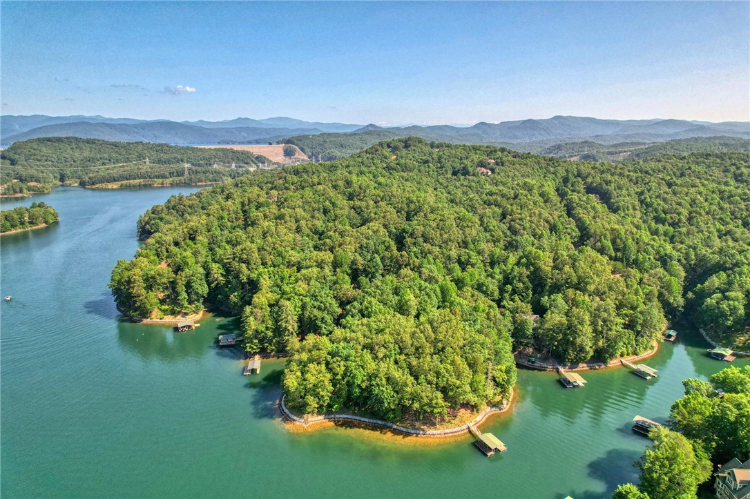 Property image 4 of 106 Trillium Court in Cliffs At Keowee Vineyards, Sunset, SC 29685