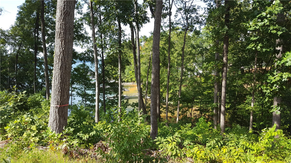 Property image 3 of Lot 22 Marina Bay Drive in Marina Bay, Seneca, SC 29672