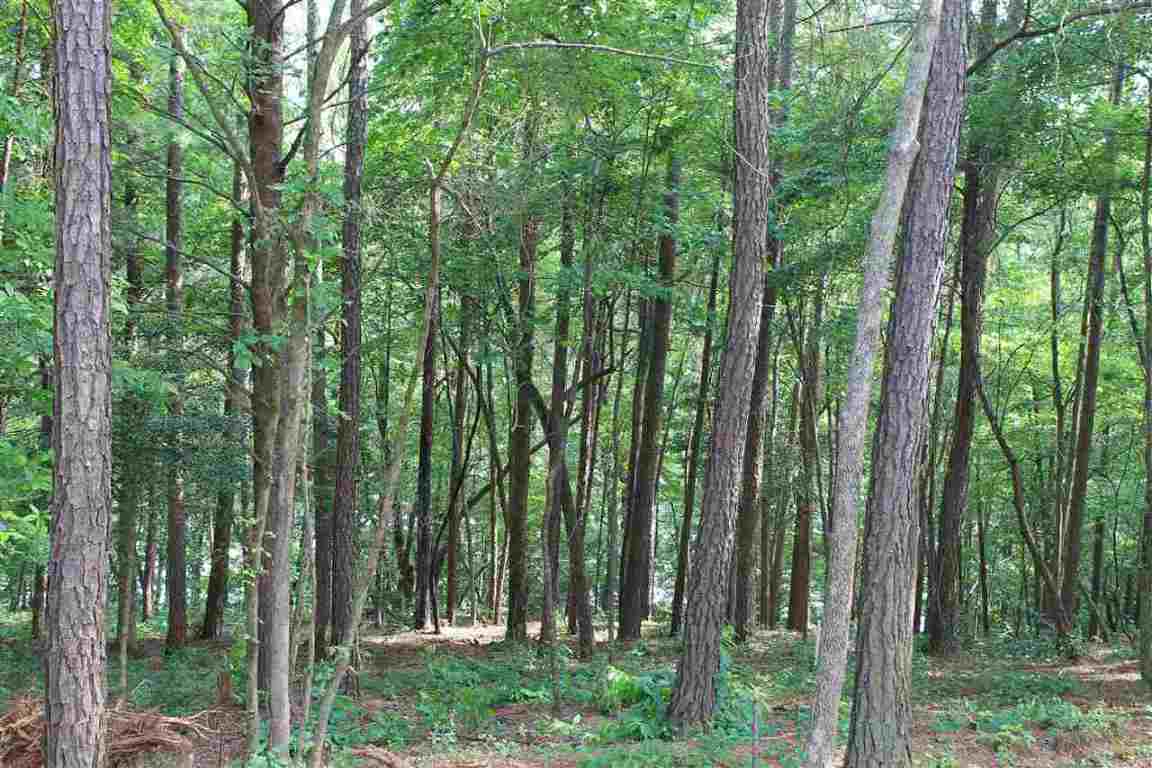 Property image 2 of Lot 96 Peninsula Pointe Drive in Peninsula Pointe South, West Union, SC 29696