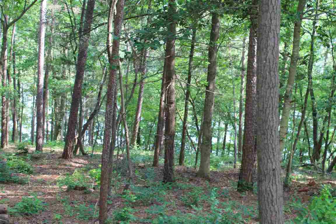Property image 3 of Lot 96 Peninsula Pointe Drive in Peninsula Pointe South, West Union, SC 29696