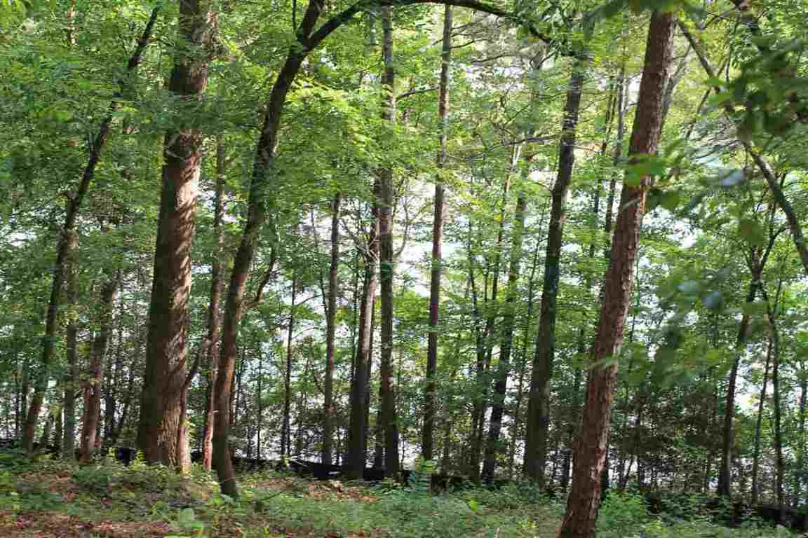 Property image 4 of Lot 96 Peninsula Pointe Drive in Peninsula Pointe South, West Union, SC 29696