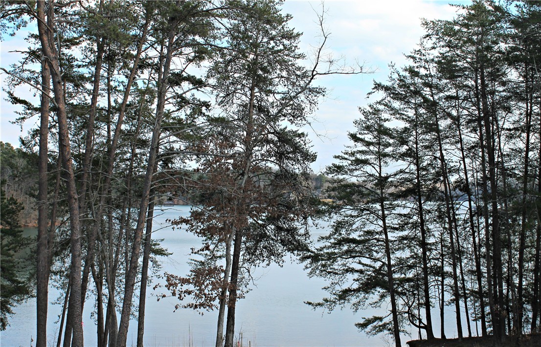 Property image 2 of Lot 47-B Retreat Pointe Road in Peninsula Pointe South, West Union, SC 29696