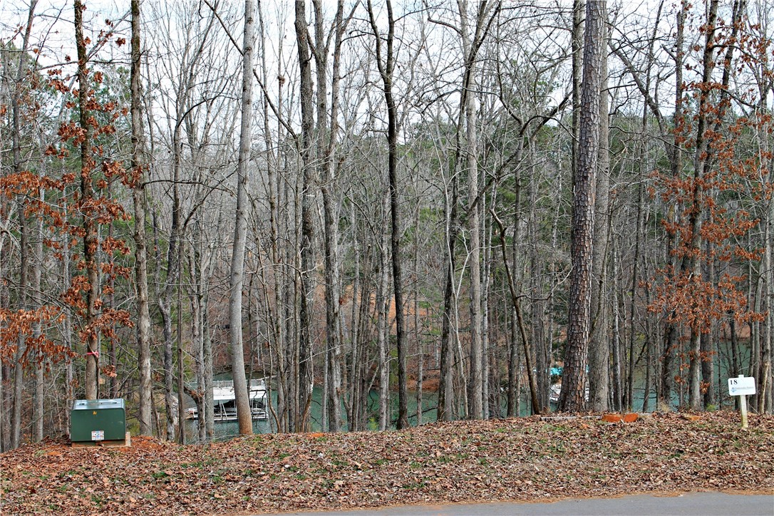 Property image 3 of Lot 47-B Retreat Pointe Road in Peninsula Pointe South, West Union, SC 29696