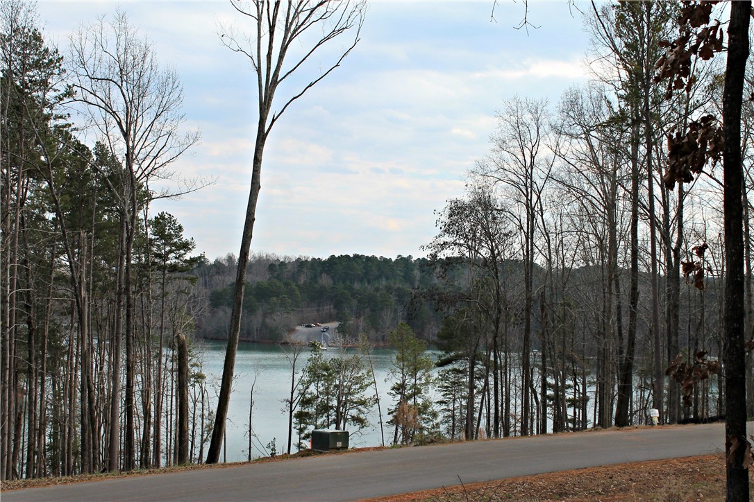 Property image 4 of Lot 47-B Retreat Pointe Road in Peninsula Pointe South, West Union, SC 29696