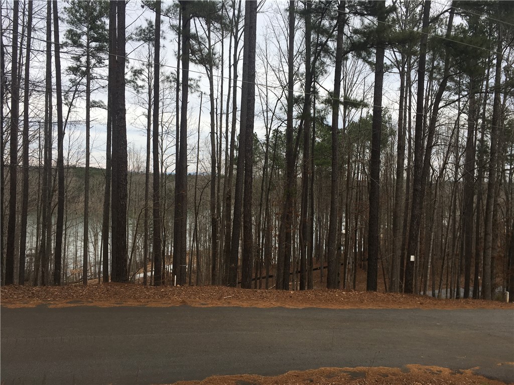 Property image 5 of Lot 47-B Retreat Pointe Road in Peninsula Pointe South, West Union, SC 29696