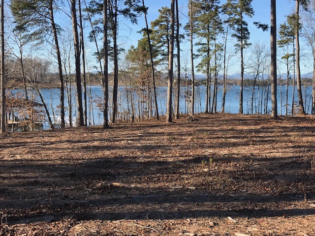 Property image 4 of Lot 16 Marina Bay in Marina Bay, Seneca, SC 29678