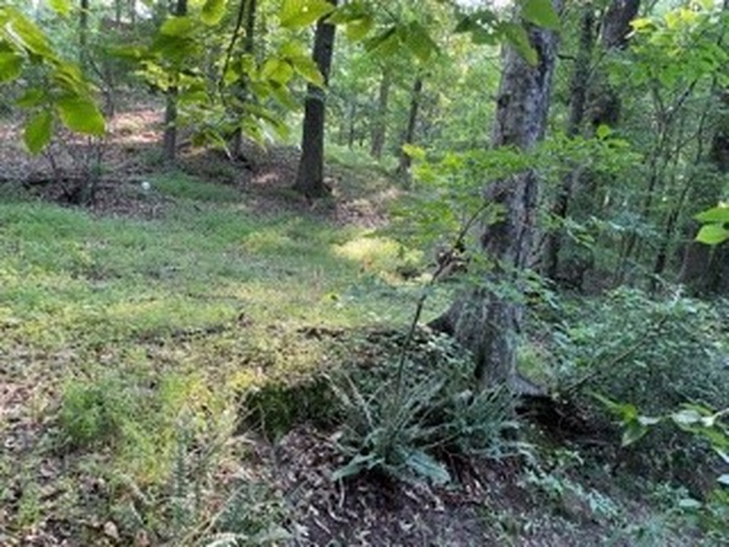 400 Bluefield Road
