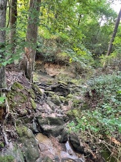 Property image 2 of 400 Bluefield Road in Peachtree Acres, Starr, SC 29684