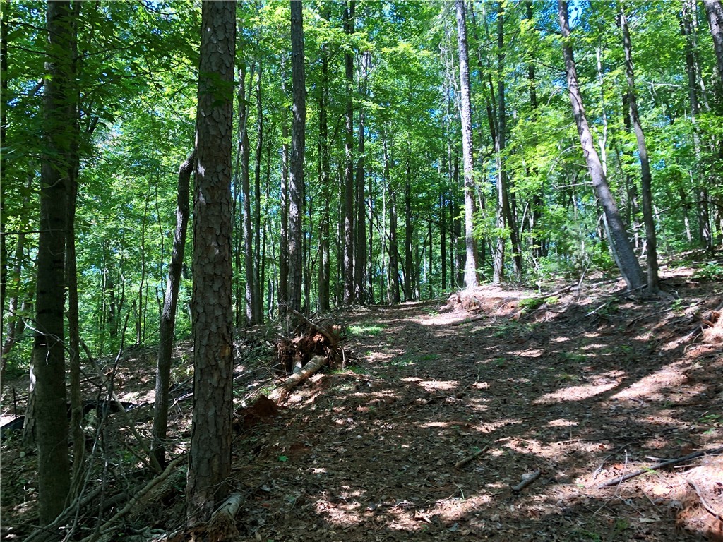 Property image 4 of Lot 108 Trail Tree Drive in Peninsula Pointe South, West Union, SC 29696