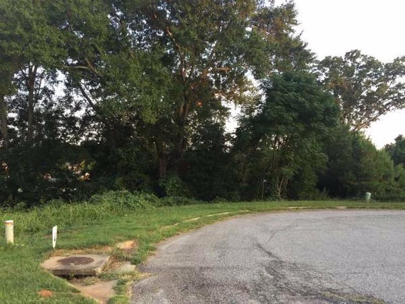 338 Monti Drive