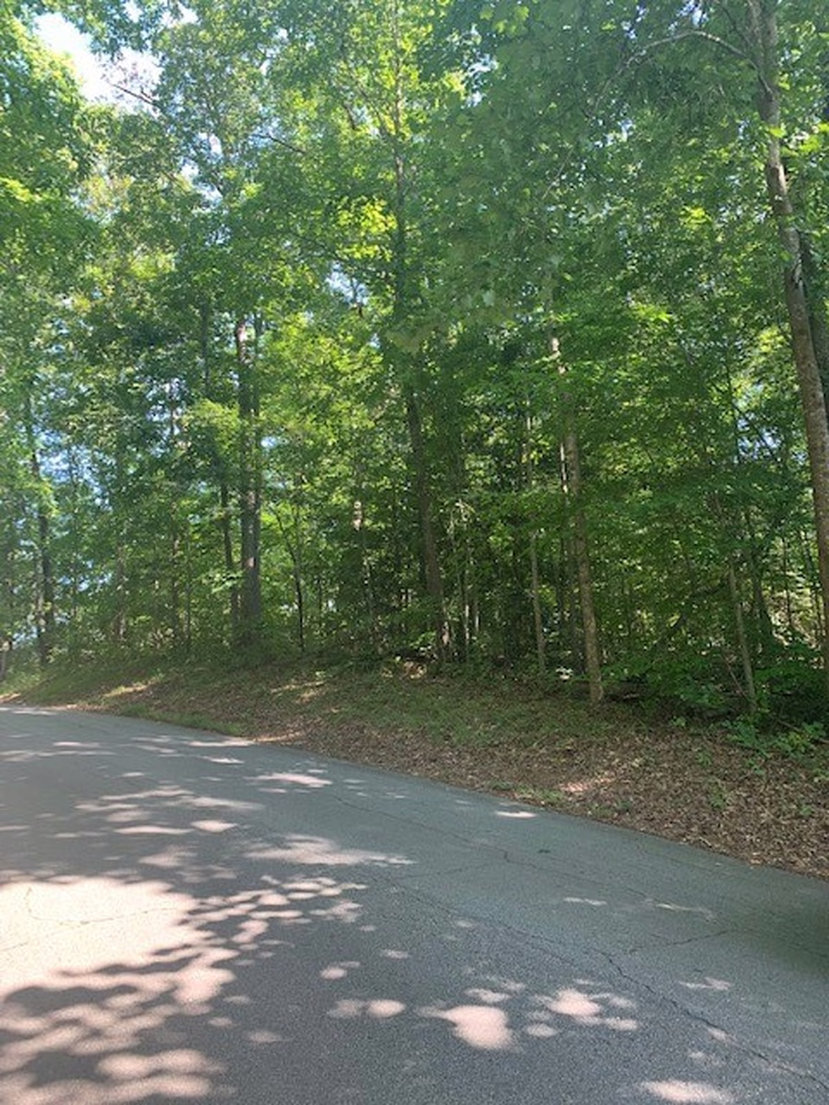 Property image 1 at 225 Clarke Stream Drive, Anderson, SC 29621