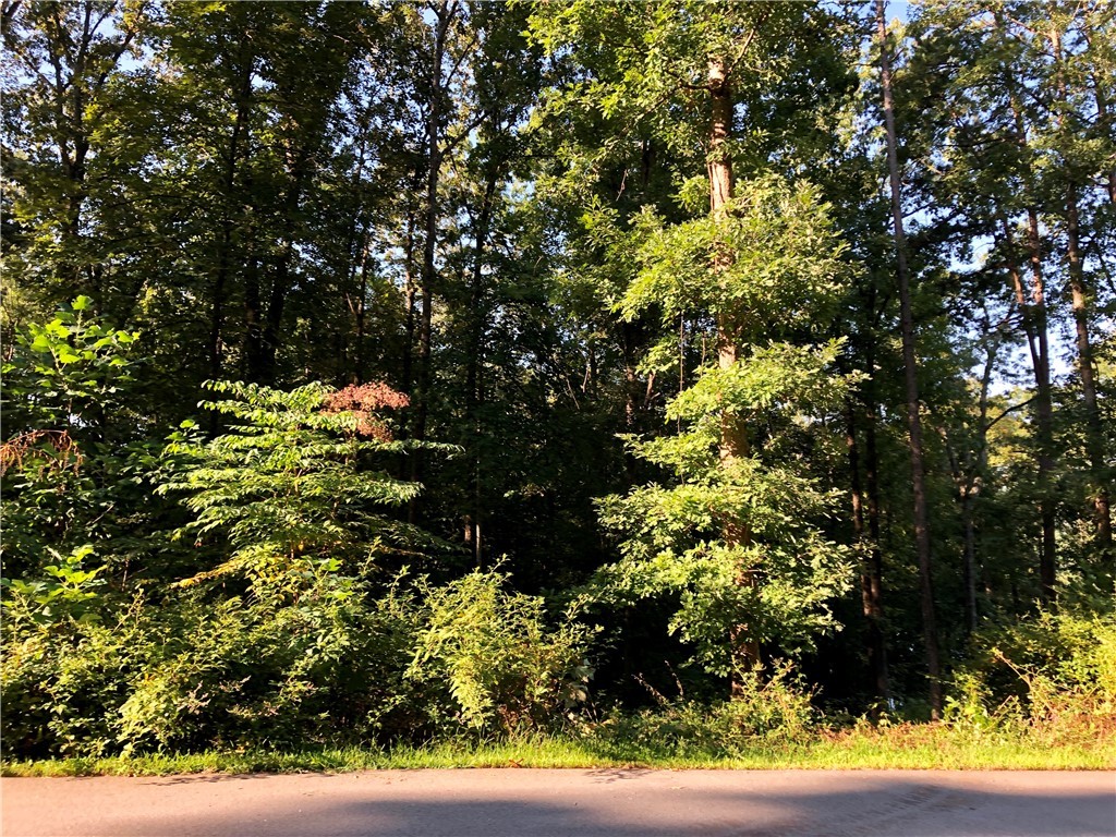Property image 4 of Lot 56 Keowee Overlook Road in Peninsula Pointe South, West Union, SC 29696