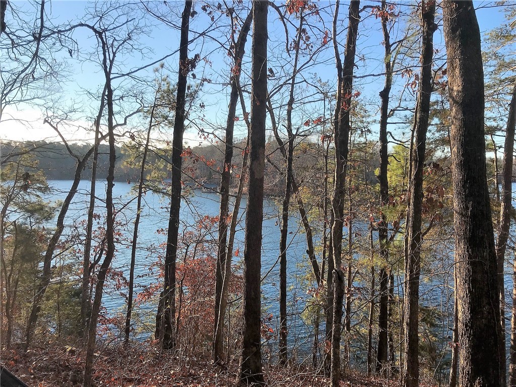 Property image 2 of Lot 24 Retreat Pointe Road Road in Peninsula Pointe South, West Union, SC 29696