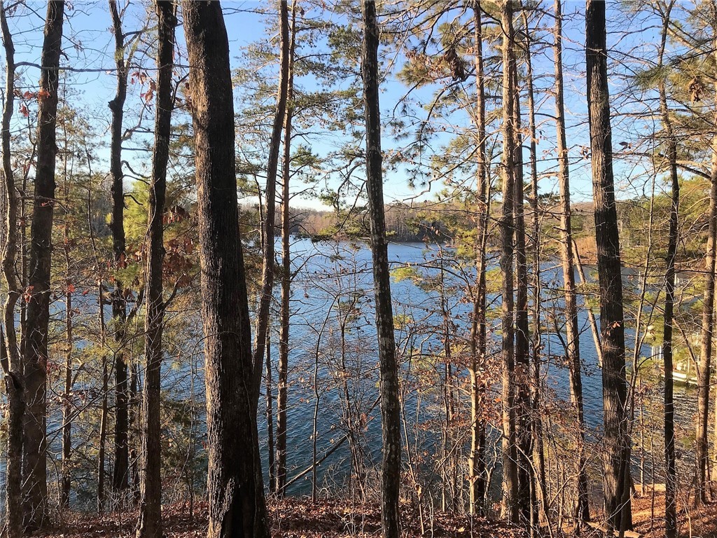 Property image 3 of Lot 24 Retreat Pointe Road Road in Peninsula Pointe South, West Union, SC 29696