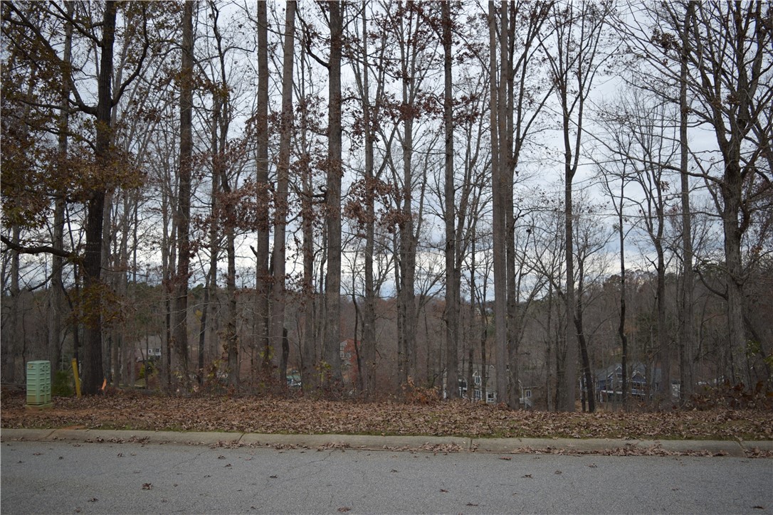 Property image 3 of 232 Long Bay Drive in The Woods At Keowee, West Union, SC 29696