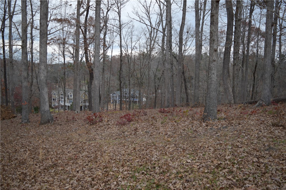 Property image 4 of 232 Long Bay Drive in The Woods At Keowee, West Union, SC 29696