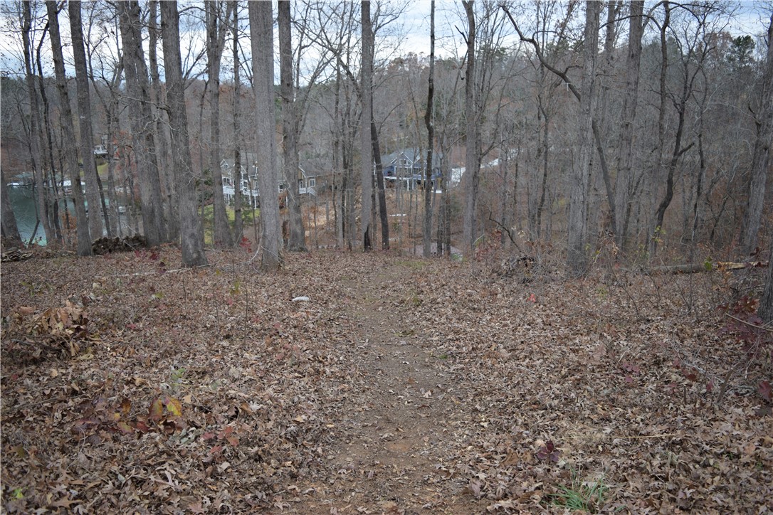 Property image 5 of 232 Long Bay Drive in The Woods At Keowee, West Union, SC 29696